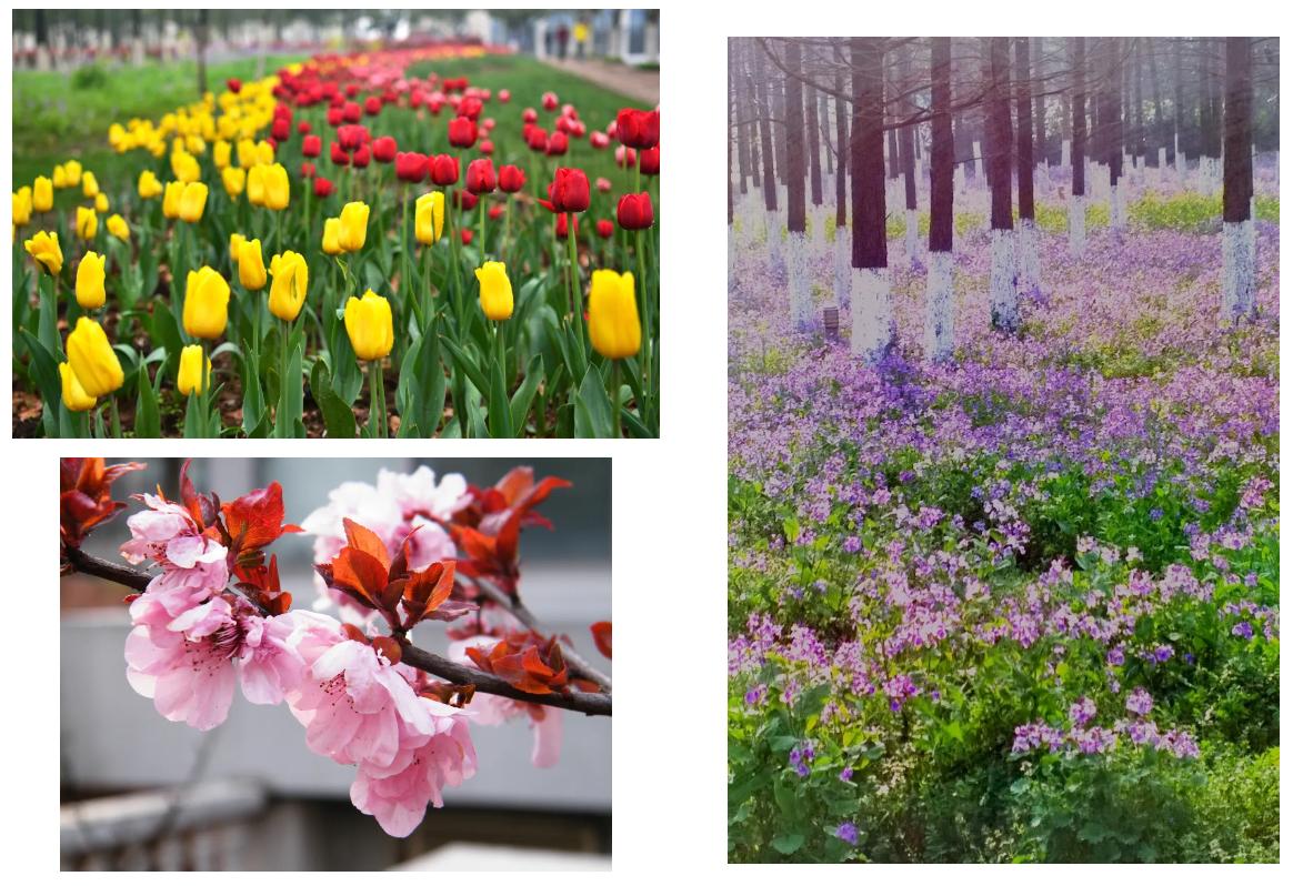 南京工业大学就业率最新排名,南京工业大学一年有几次校招