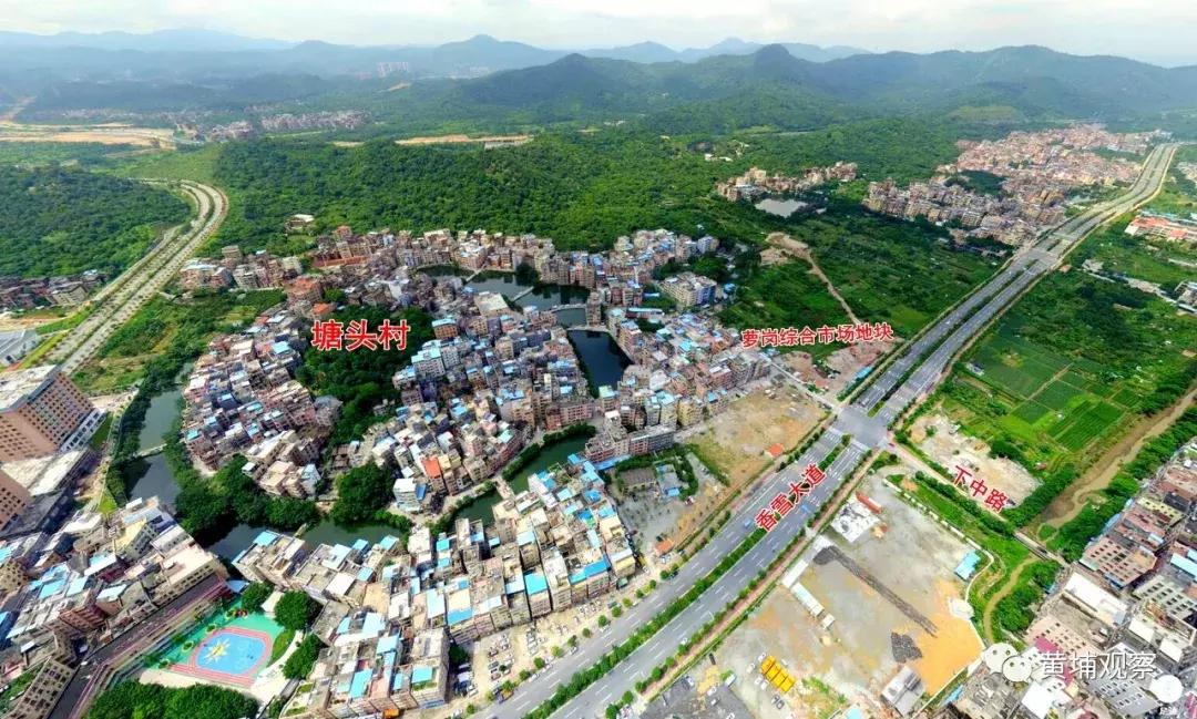 黄埔萝岗大型农贸综合批发市场,广州市萝岗区最大的综合市场