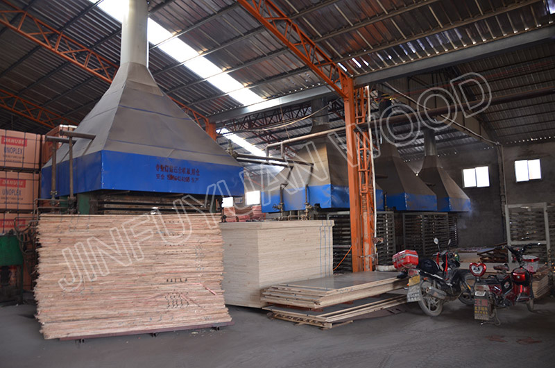 临沂北方木都,临沂金杉木生态板厂家直销批发