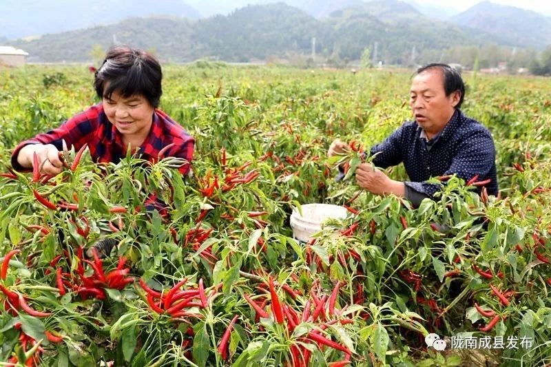 我叫成县，这是我2019年的自拍照~