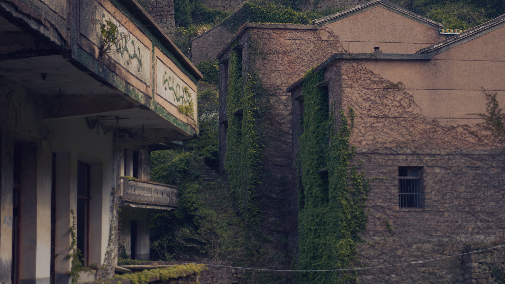 浙江嵊泗列岛三日游,嵊泗四日游旅游攻略