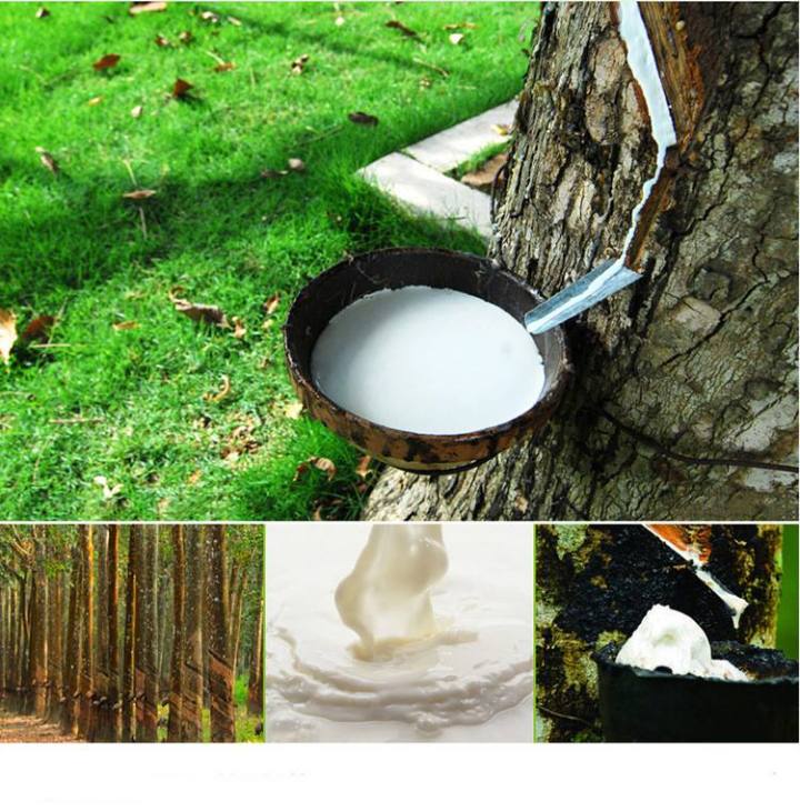 PROOSEN科普：天然乳胶、合成乳胶和人造乳胶之间的区别