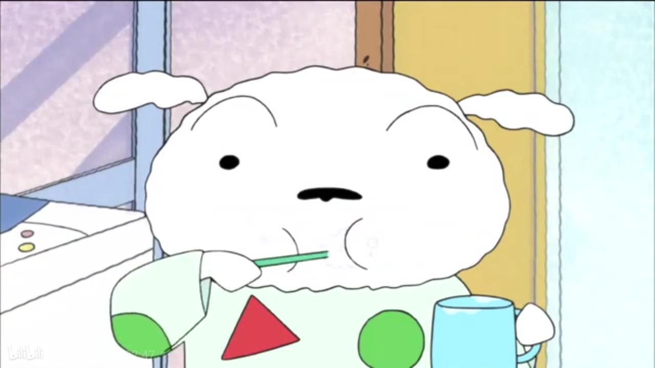 三只萌宠你们喜欢哪只,萌宠大合集你最喜欢哪一只