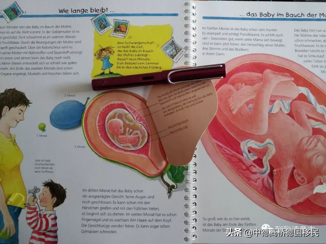 儿童性启蒙教育绘本,德国3-6岁幼儿园教育方法