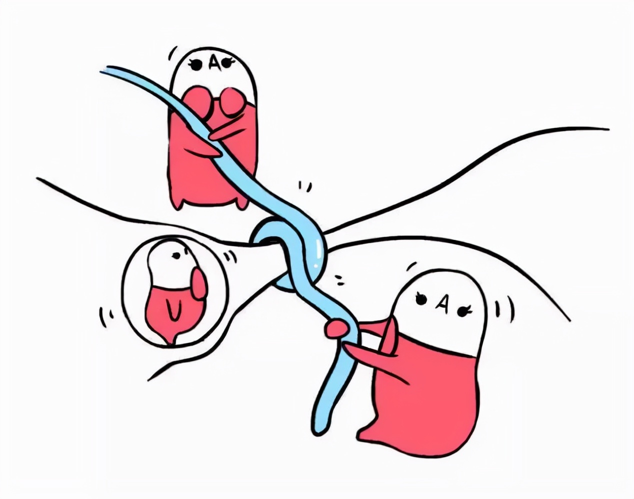 世界避孕日活动感悟,世界避孕日主题活动策划案