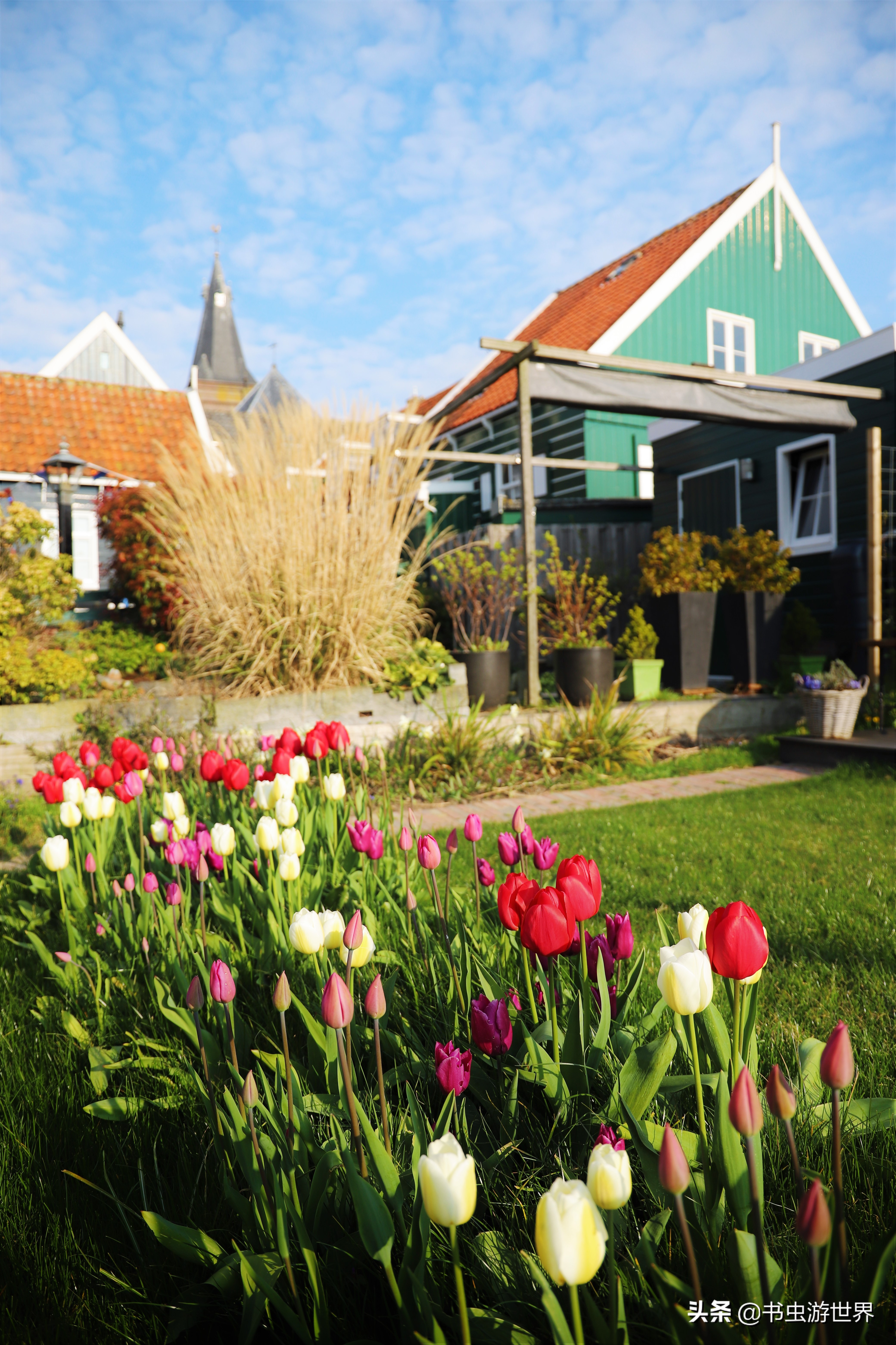 红顶小木屋,红顶绿墙小木屋