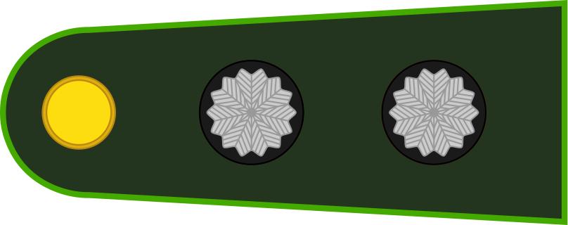 各国军衔标识俄罗斯,各国军衔标识