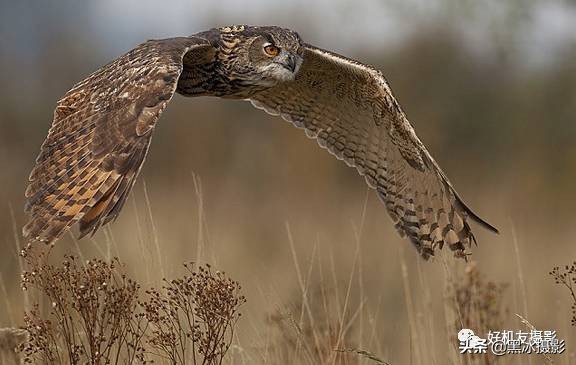 超广角和长焦镜头哪个更实用,广角镜头和长焦镜头优缺点