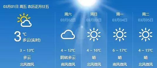 石家庄草莓采摘基地推荐,石家庄周边采摘园摘草莓