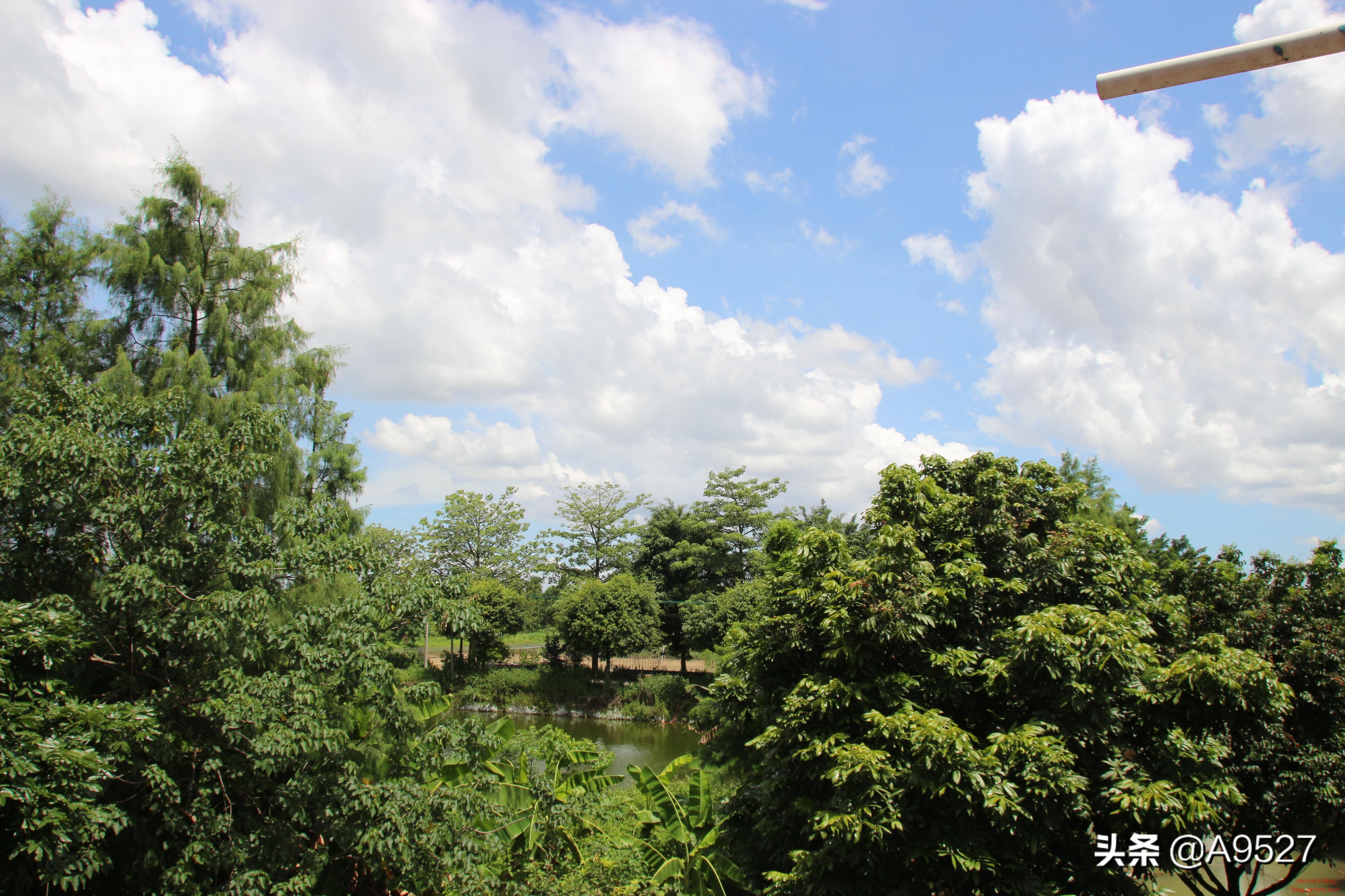 适马1770二代镜头素质如何,适马10-20镜头一代与二代