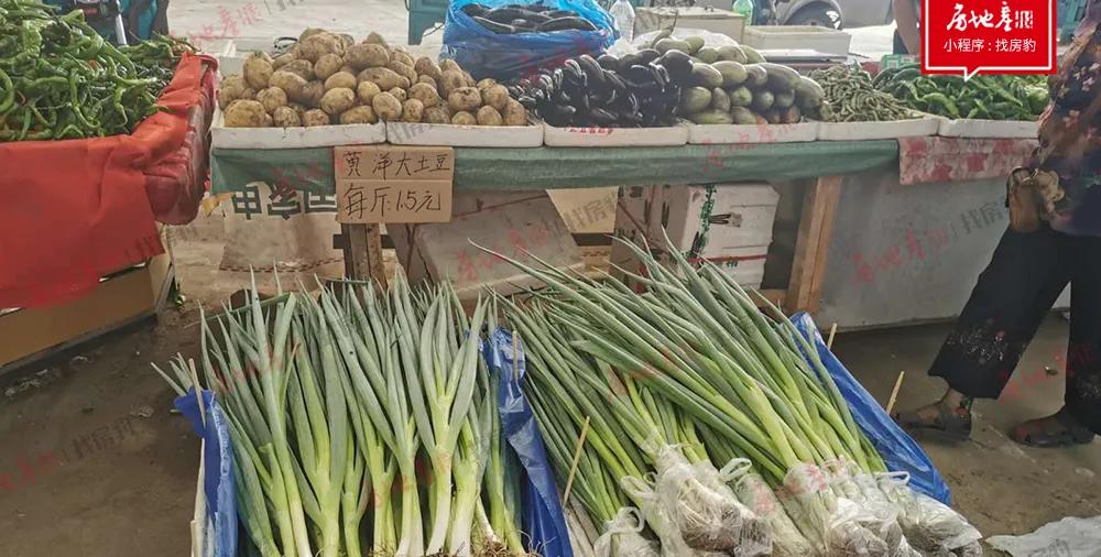 实地考察：宽城VS净月，楼盘交付五年后还行吗？我们一起去瞧瞧