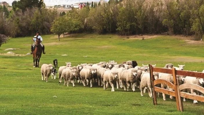 阿根廷市场经济发展现状,造成阿根廷30年的经济现状的原因