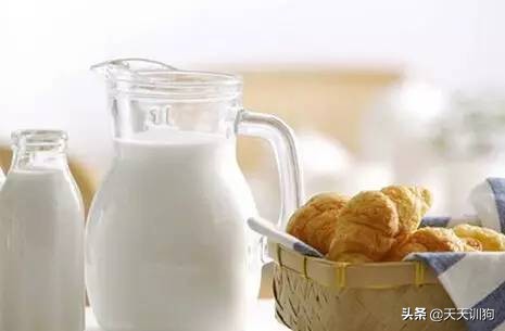 狗狗细小的原因,什么原因会导致狗狗得细小