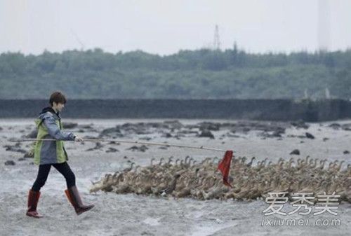 又是蔡徐坤？粉丝把鸭蛋买脱销怎么回事？