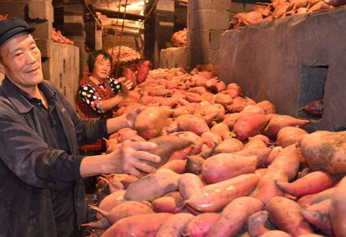 农村适合穷人的18个创业项目利润,农村创业10大经典赚钱方式