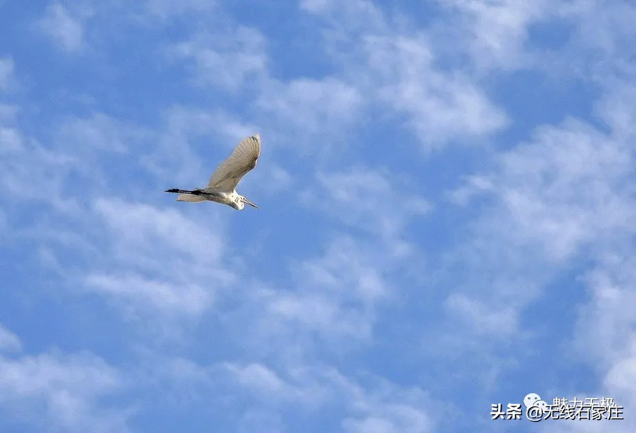 澶х編鏃犳瀬楂樻竻鐩存挱,澶х編鏃犳瀬