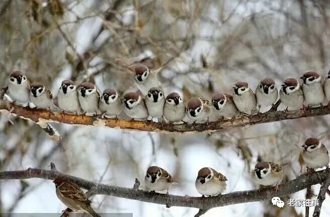 老家的印象和往事 (老家的印象介绍)