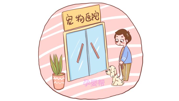 孕期养宠物到底该不该养,家里养宠物在孕期有影响吗