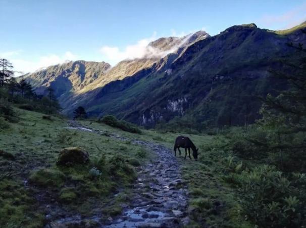 西藏神秘的地方,隐藏的莲花