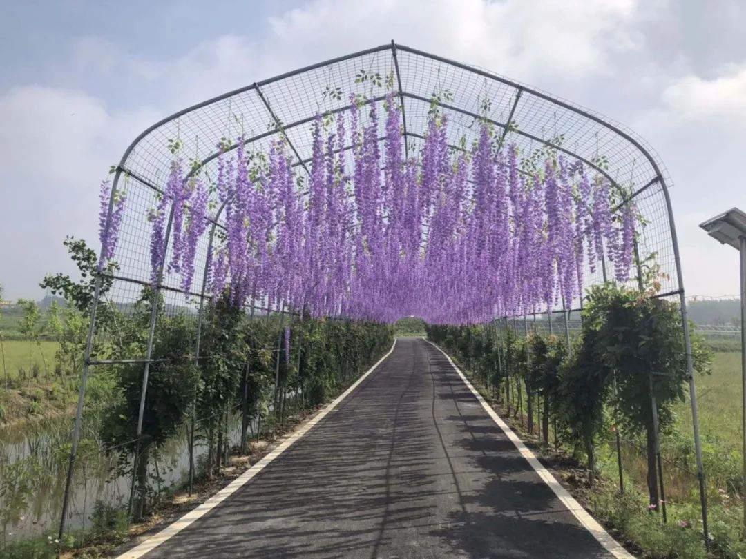 开心农场希月生态庄园,开心农场欢迎你的到来