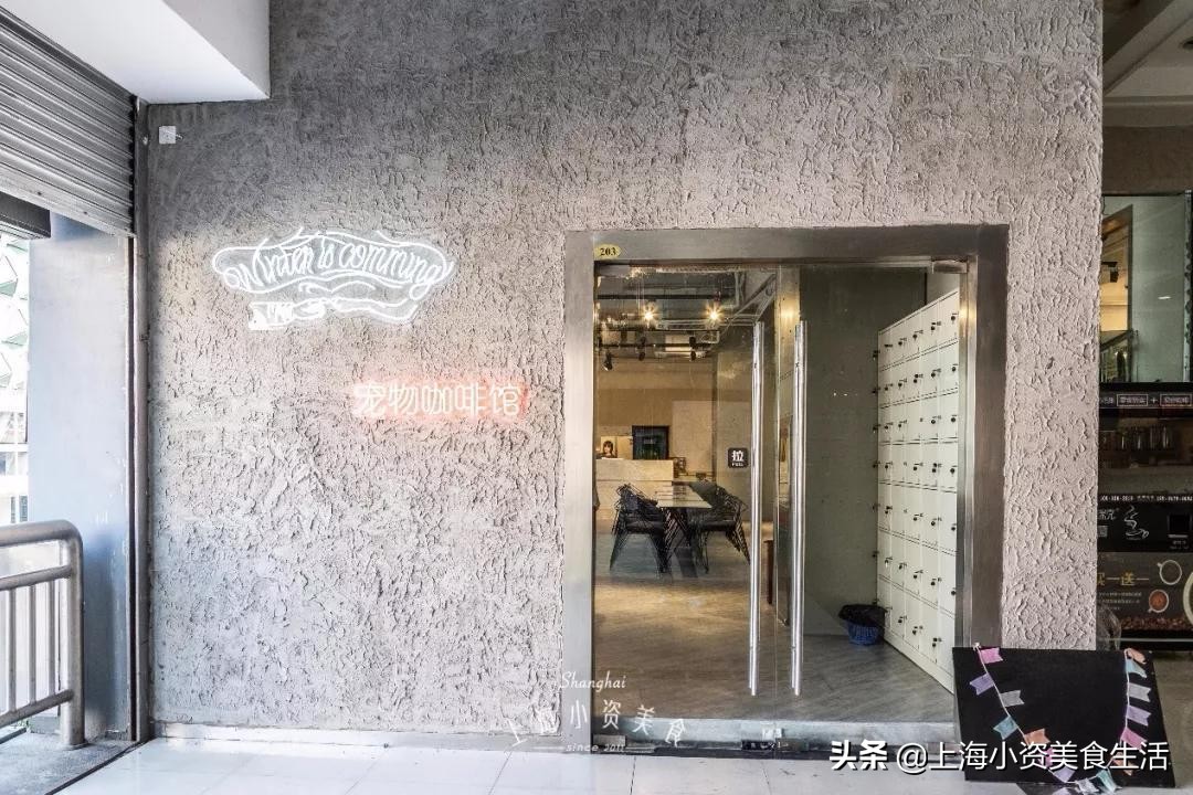 魔都哈士奇体验馆宠物咖啡,魔都哈士奇咖啡馆