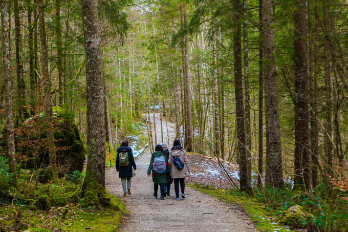 手把手教你玩转欧洲,年轻人第一次去欧洲的感受