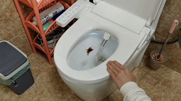 老马桶装智能马桶盖,智米智能马桶盖说明书