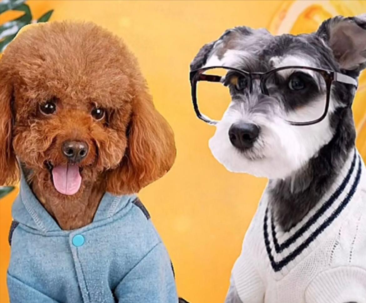 520送对象礼物攻略,520节日的时候送什么礼物最好情侣