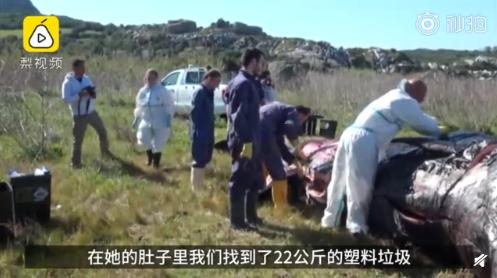 我们丢掉塑料袋都去哪了,我们被丢掉的塑料都去哪里了