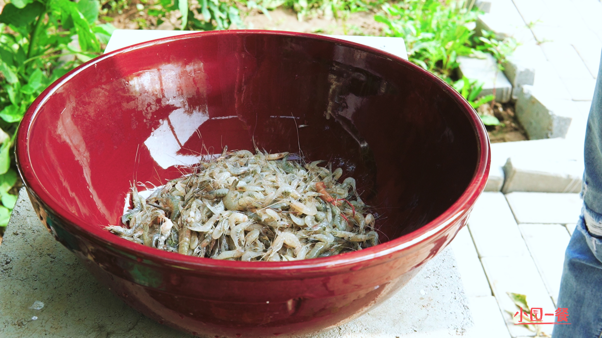 淅川县特色美食炸河虾银鱼,油炸小鱼虾怎么做好吃