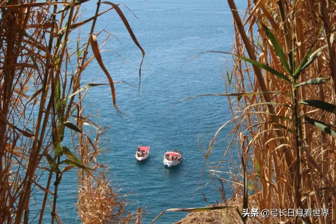 也许是我爸妈心大，才遗传了我这么心大