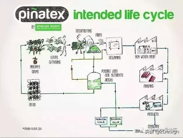 Gucci、HM都在用，一条用垃圾做的裙子，拯救了无数的小动物..