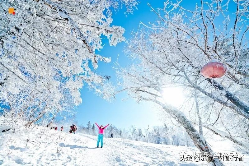 冬天漠河白桦林童话世界完整视频,冰雪大世界长白山雪乡六天五晚