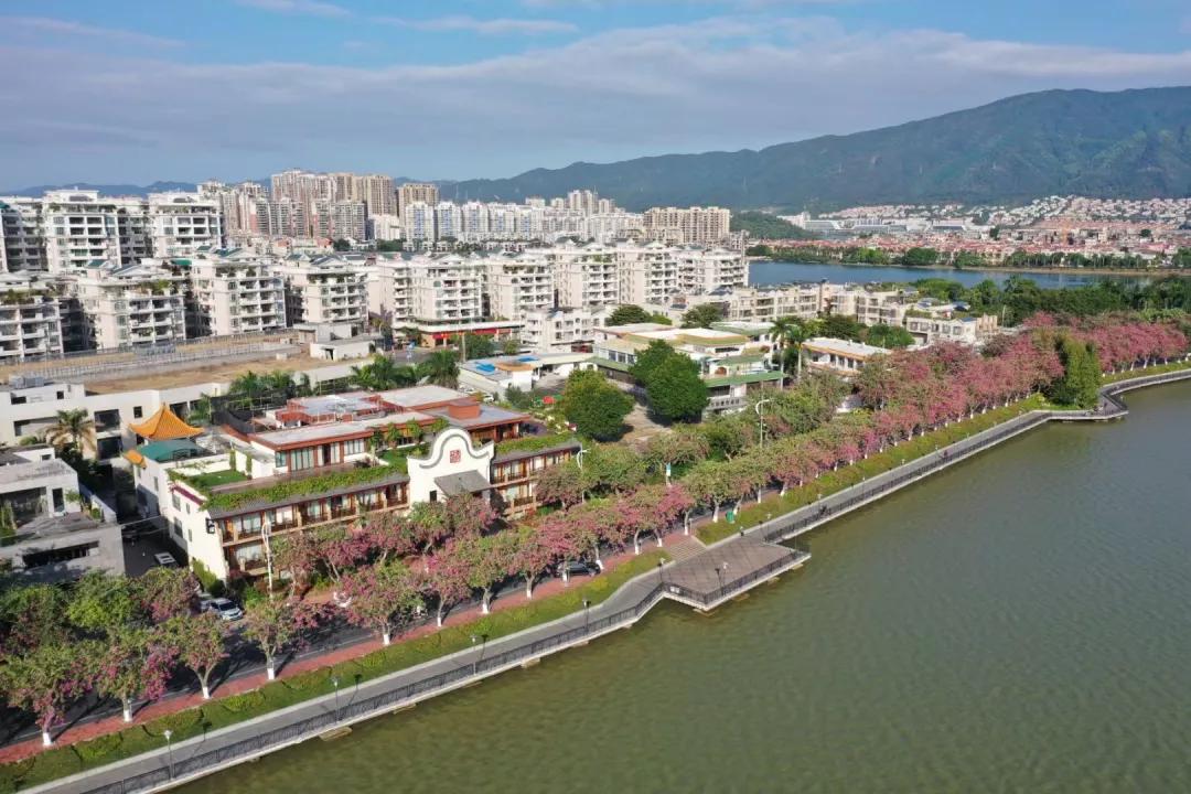 端州客栈民宿推荐,端州旅游民宿酒店有哪些