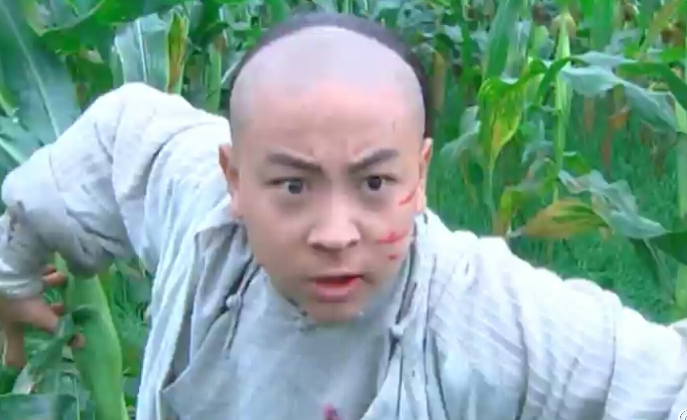 少年黄飞鸿小演员长大后样子,少年黄飞鸿有哪些演员