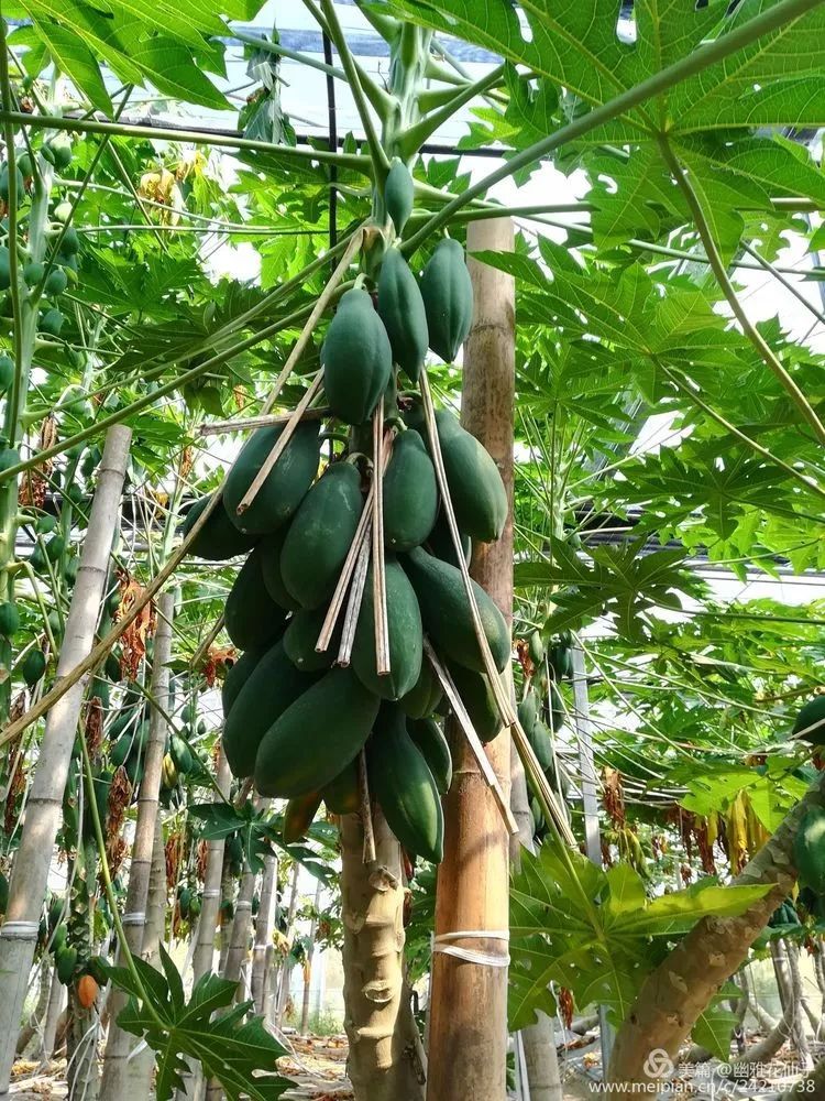 福建长汀最好玩的地方在哪里,福建长汀最好玩的地方在哪里呀