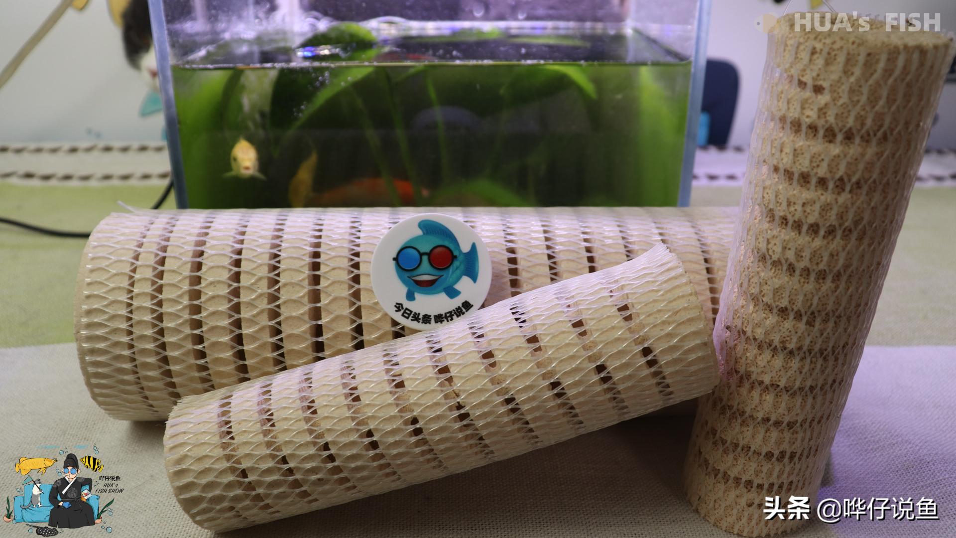 鱼缸滤材要细菌屋好还是十合一好,鱼缸细菌屋天然滤材自己动手制作