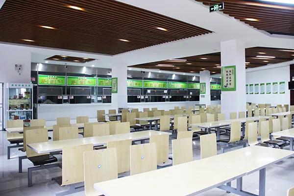 弦歌不辍五十载，上下求索奏华章——郑州市第五十四中学简介