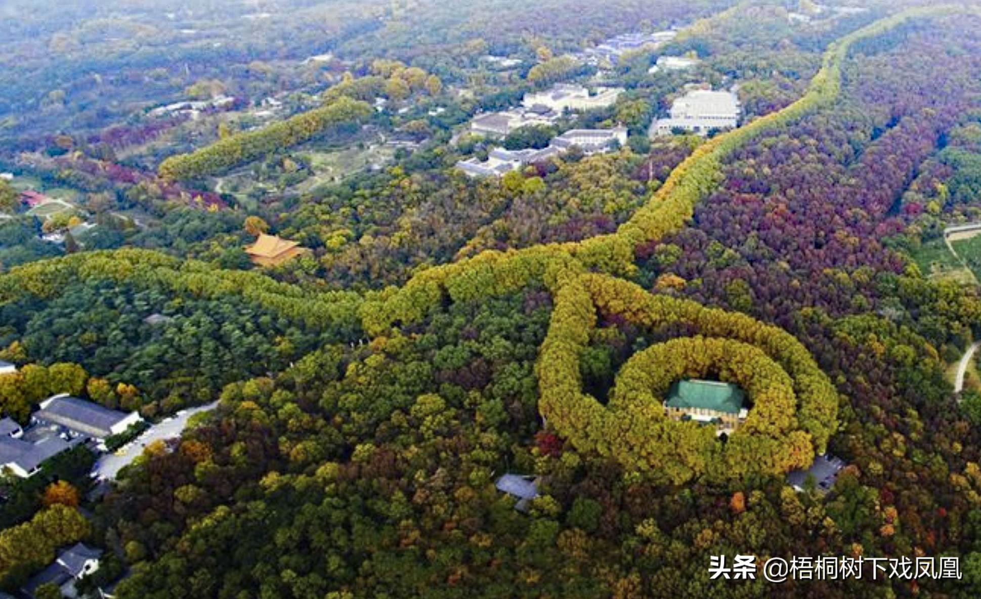 中华民国定都，首轮28票中20票选北京：孙中山力主南京的背后隐情