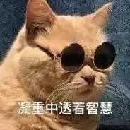 猫咪的胡子为什么不可以剪掉,猫咪的胡子为什么不能剪掉呢