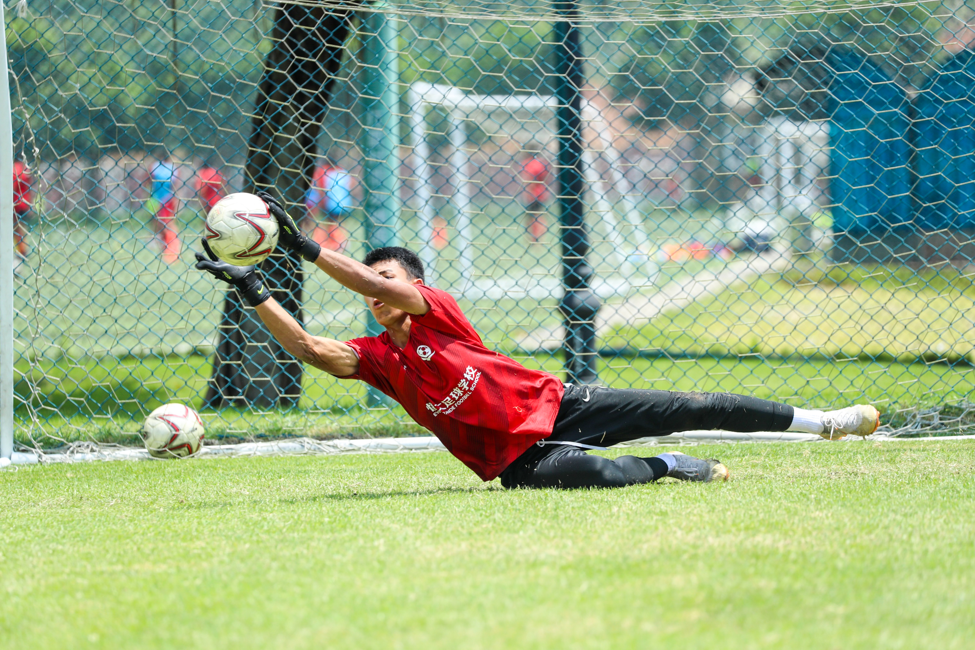 恒大足校总监谈中国足球的青训,足球大咖汇聚鲁能足校谈青训