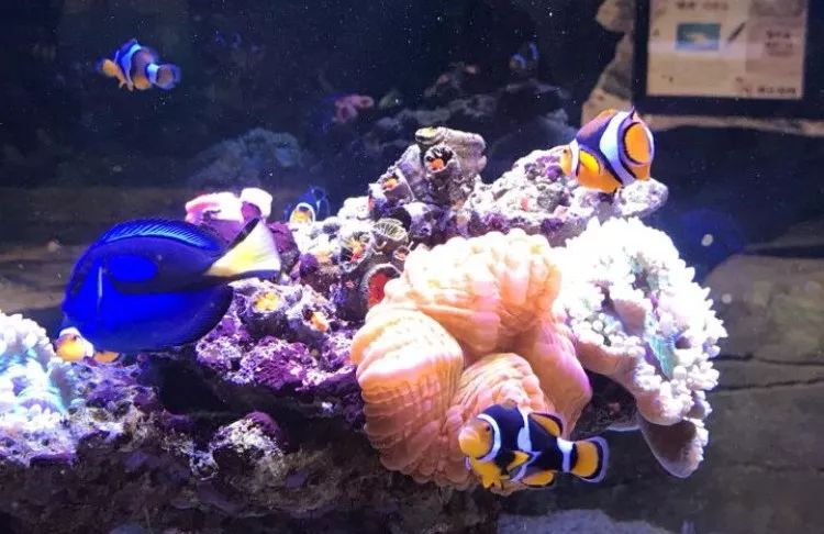 武汉带孩子吃喝游玩地方推荐,武汉吃喝玩乐指南