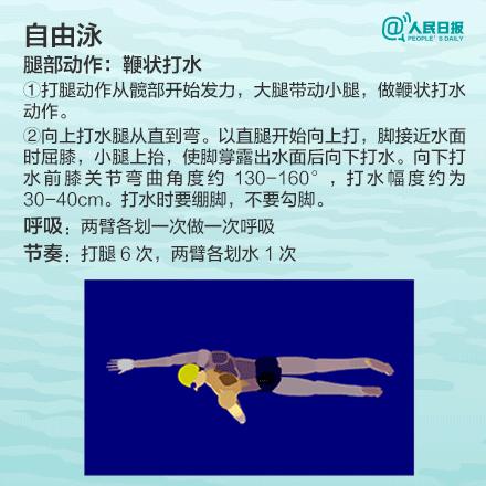 游泳的四种泳姿全学会要多久,游泳必学的四种泳姿你掌握了几种