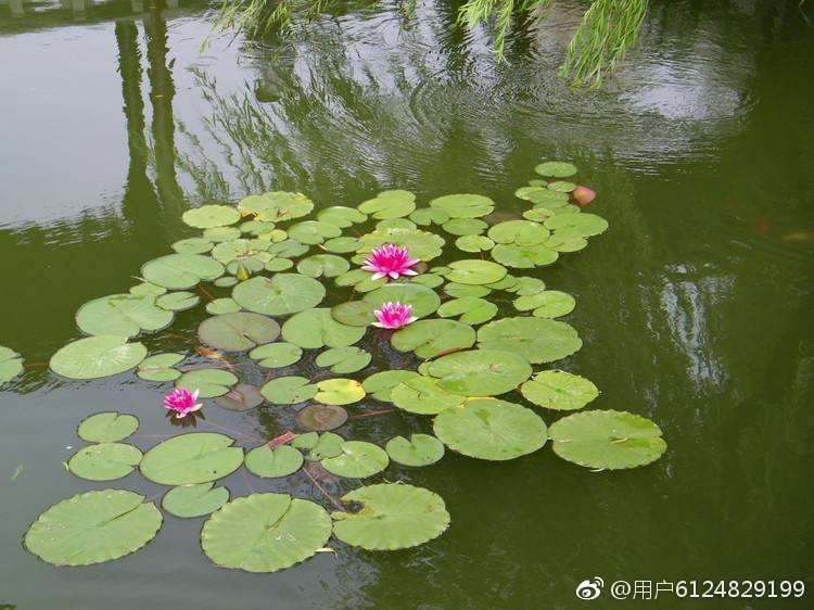 有趣的汉字读音相同,奇妙的汉字多音多义