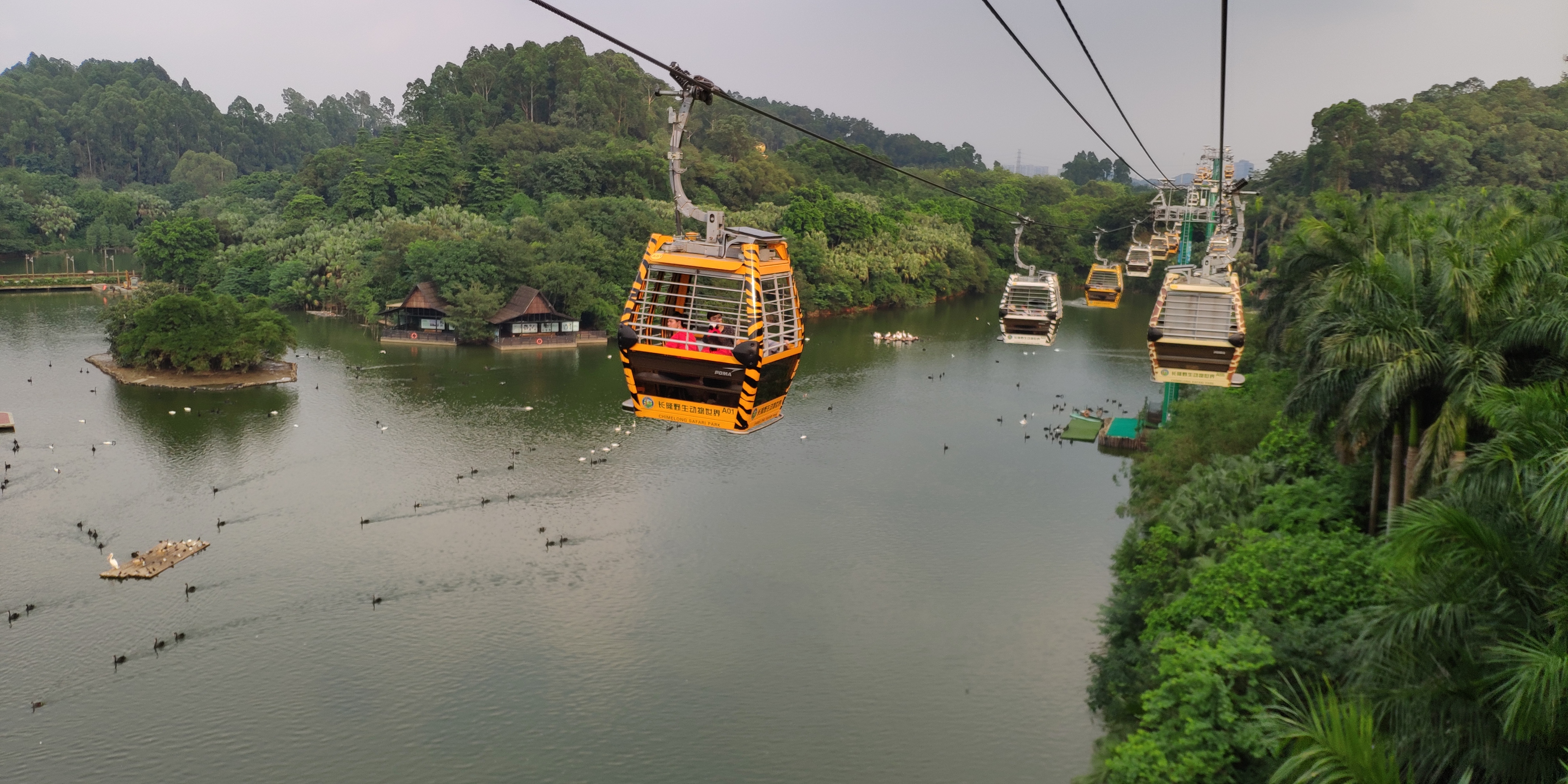 珠海长隆家庭项目攻略,广州长隆四大园区亲子游玩