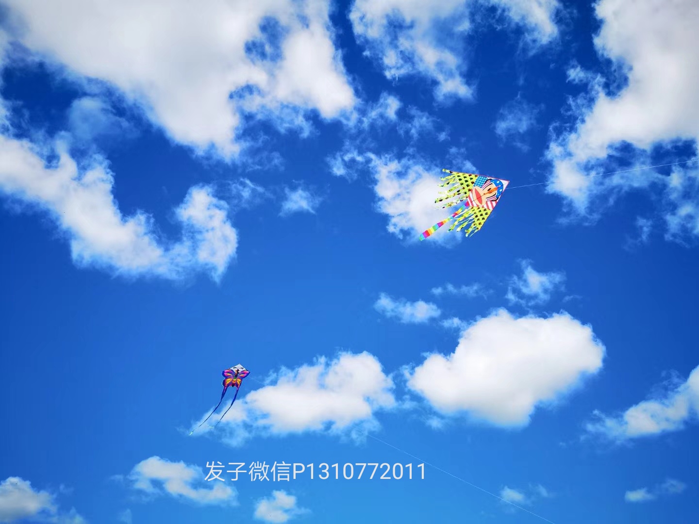 暑期亲子旅游推荐呼伦贝尔大草原,带孩子呼伦贝尔大草原自驾游