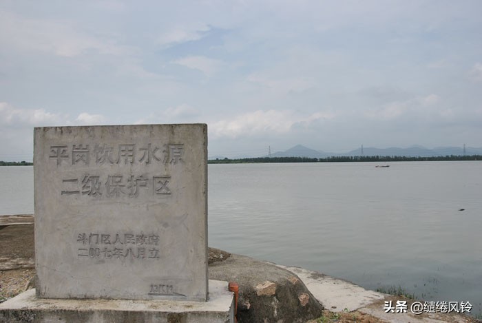 珠海竹洲水松林，意外发现的珠中江“SB”界碑，究竟作何解释？