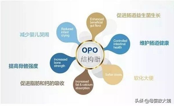 婴儿奶粉羊奶粉口碑最好的前十名,羊奶粉最贵几款