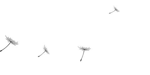 光幕天花灯,光幕照明软膜天花