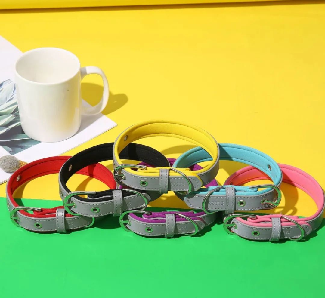 狗狗秋冬怎么穿衣服,狗狗的衣服怎么选好看又实用